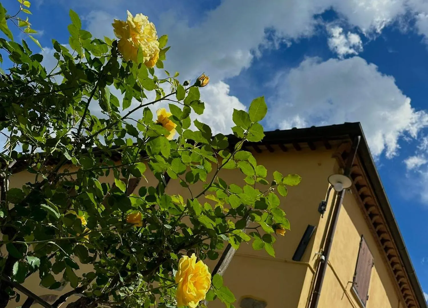 Gospodarstwo wiejskie Agriturismo Casa Alle Vacche San Gimignano