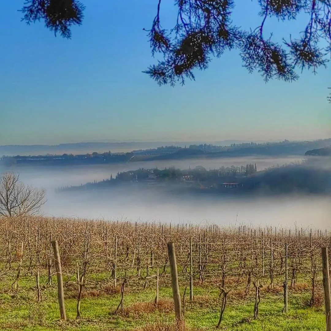 Agriturismo Casa Alle Vacche San Gimignano 0*,  Italia