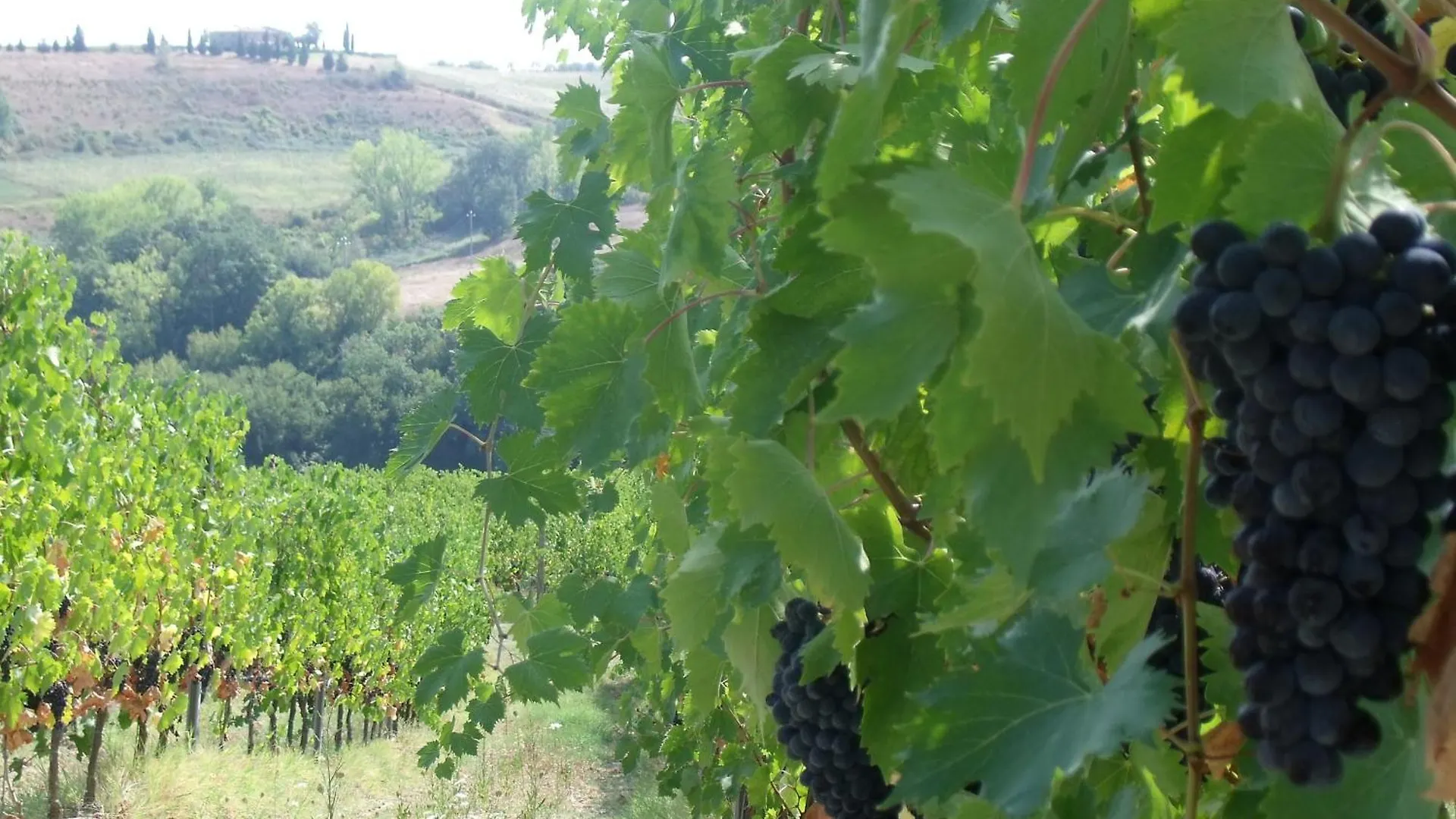 בית כפרי סן ג'ימיניאנו Agriturismo Casa Alle Vacche איטליה