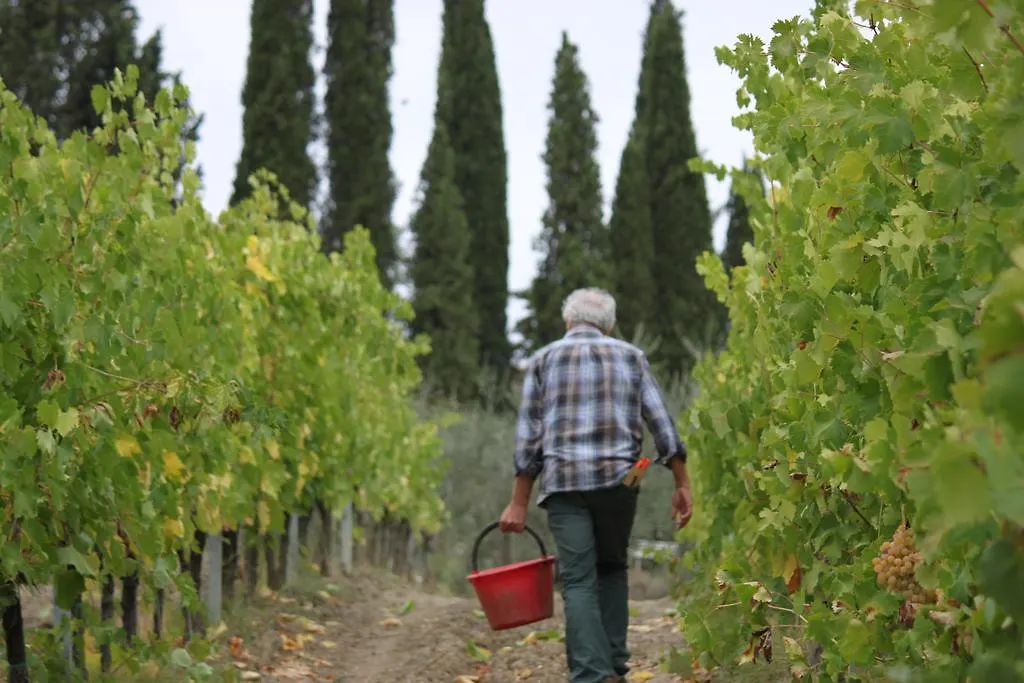 Agriturismo Casa Alle Vacche San Gimignano Casa di campagna